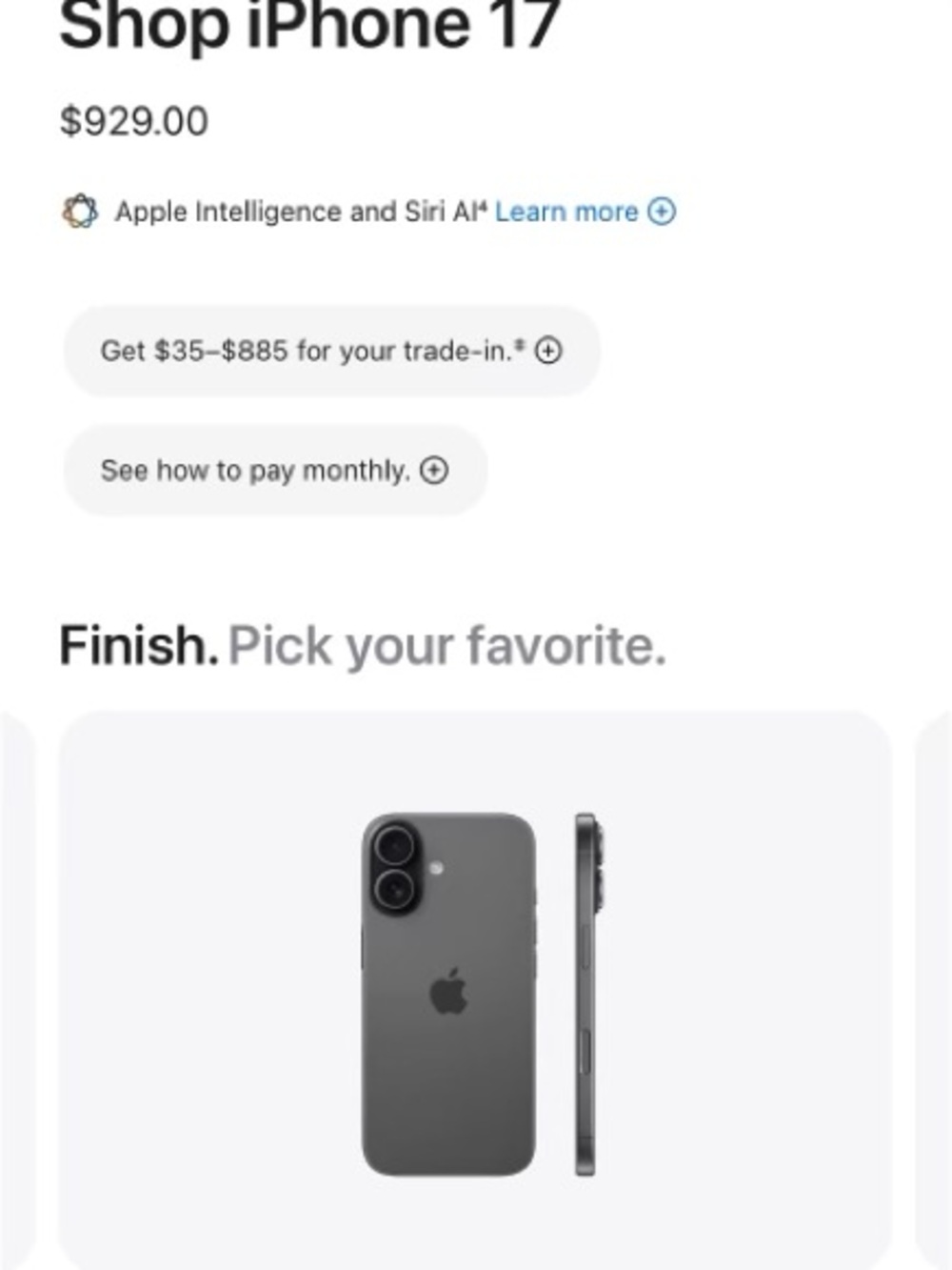 Apple iPhone 17 in Space Gray